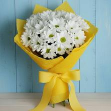 Букет цветов из:  Хризантемы в Орловке Воронежской области