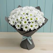 Букет цветов из:  Хризантемы #REPLACE_PRED# Орловке Воронежской области