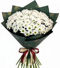 Букет цветов из:  Хризантемы в Орловке Воронежской области