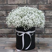 Цветочная композиция из Гипсофила в шляпной коробке #REPLACE_PRED# Орловке Воронежской области